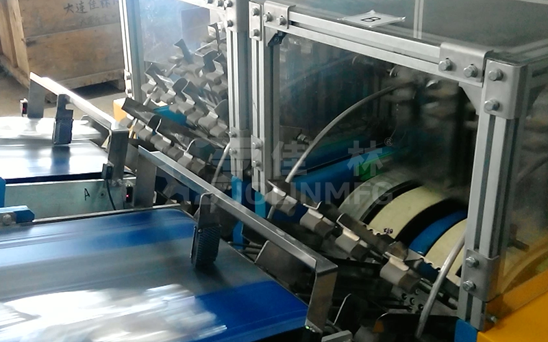 醫(yī)藥行業(yè)軟袋類產(chǎn)品自動整列包裝模塊